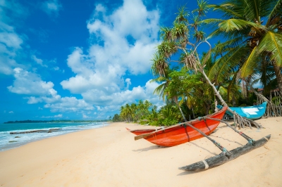 Tropischer Traumstrand auf Sri Lanka (Anton Gvozdikov / stock.adobe.com)  lizenziertes Stockfoto 
Infos zur Lizenz unter 'Bildquellennachweis'